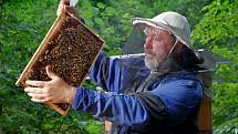 SPOKOJENÉ VČELKY. Základem úspěchu každého včelaře je mít zdravé včelstvo a dobře umístěné úly.