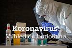 Koronavirus: výhled do budoucna