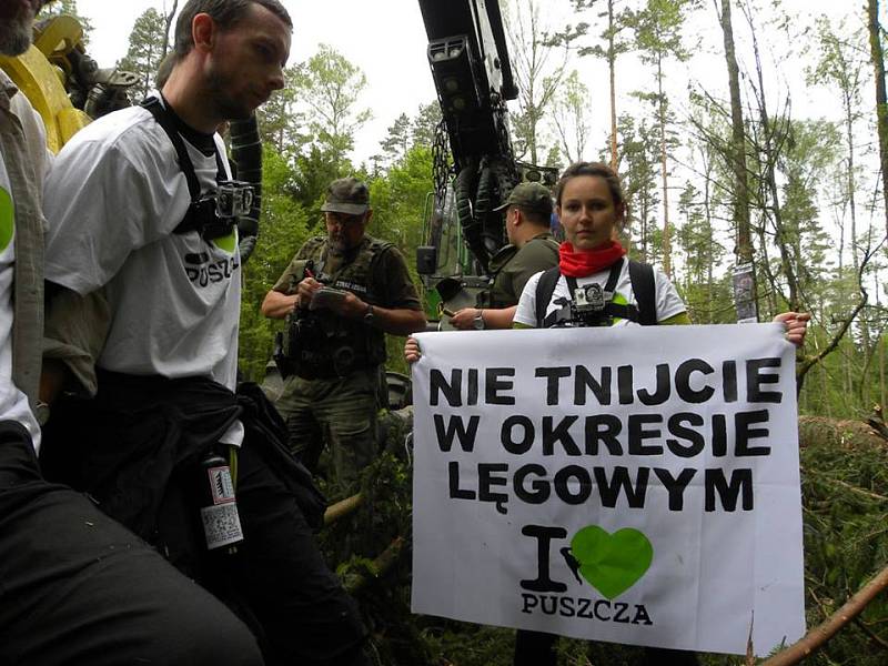 Proti kácení posledního zbytku původního evropského pralesa protestovaly stovky aktivistů