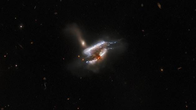 Hvězdný prach a jasné víření hvězd na tomto snímku představují sloučení vzdálených galaxií IC 2431, ležících 681 milionů světelných let od Země v souhvězdí Raka
