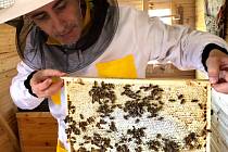 Všichni zúčastnění při soustředěné práci ve včelíně