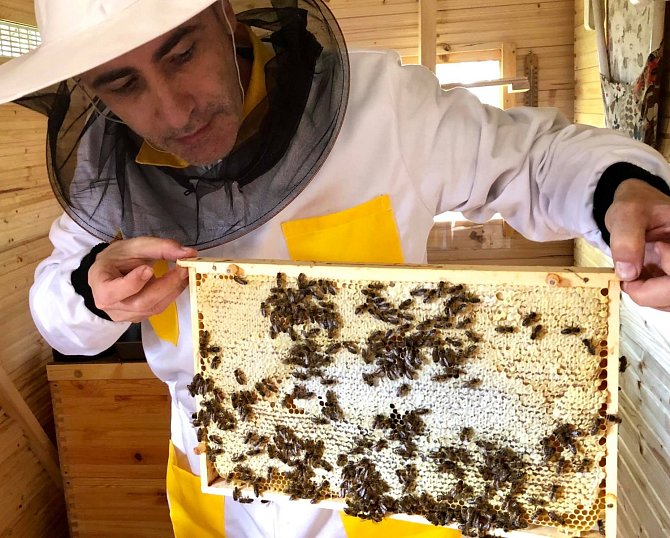 Všichni zúčastnění při soustředěné práci ve včelíně