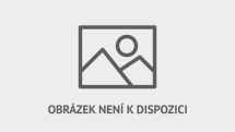 Skupiny mírotvorců a ochránců lidských práv v Dárfúru radí ženám a dětem, jak se vyhnout znásilnění či vyrovnat se s ním.