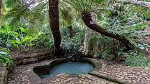 7. Kirstenbosch National Botanic Gardens v  Kapském Městě představí návštěvníkům krásy zdejší přírody.