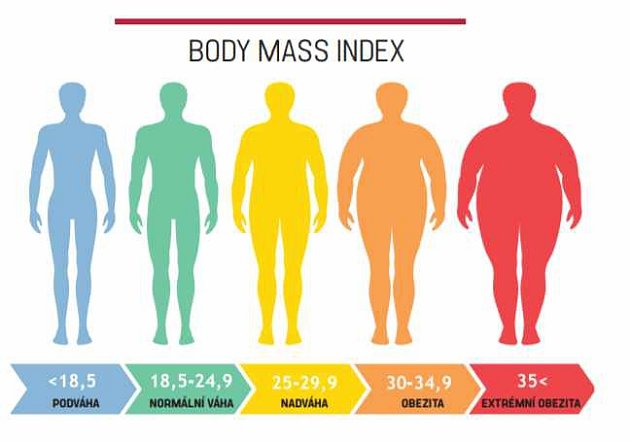 BMI - Body Mass Index