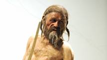 Rekonstrukce pravděpodobné podoby Ötziho z dílny společnosti Kennis Brothers. Nachází se v Ötziho muzeu v Bolzanu
