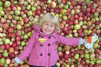 Nejvíce užitku z jablek získáte, když je budete jíst syrová a neloupaná.