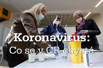 Koronavirus v Česku: Co vláda plánuje