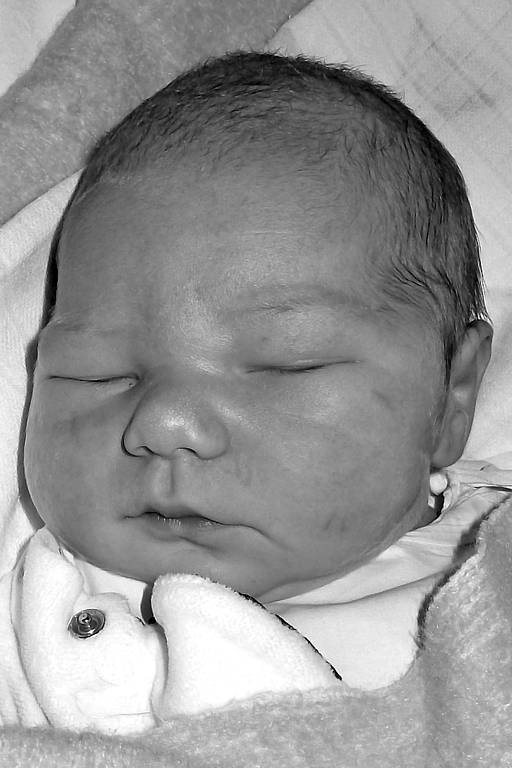 Jaroslav Císař, 4. 2. 2008, 54 cm, 4220 g, VFN, U Apolináře