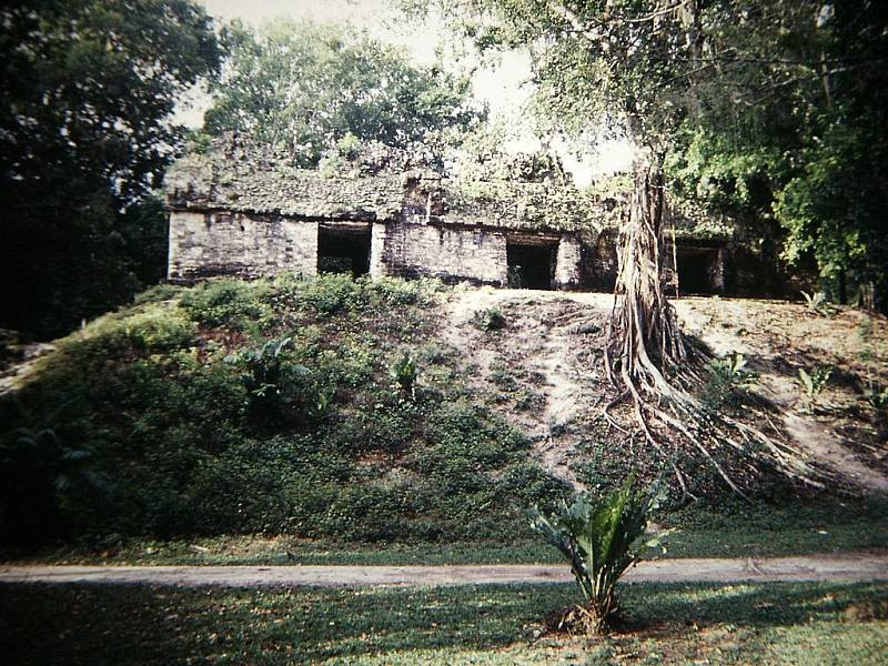 Ruiny nejrozlehlejšího mayského starověkého města Tikal na území dnešní Guatemaly