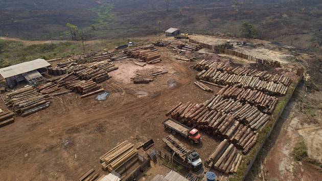 Dřevo z amazonského pralesa v brazilském Porto Velho 2. září 2019