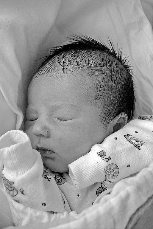 Vojtěch Bláha, 10. 4. 2008, 52 cm, 3910 g, Fakultní Thomayerova nemocnice