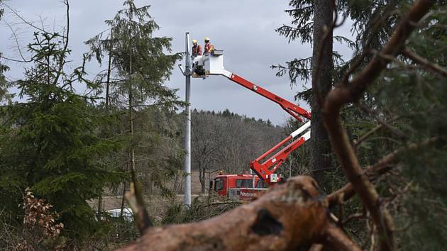 Energetici opravují vedení strhané stromy, které neodolaly silnému větru. Ilustrační snímek