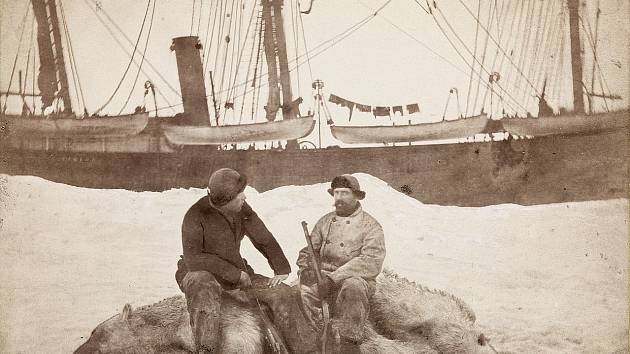 Tuleňářská loď Viking v roce 1882, kdy ještě skutečně sloužila k lovu tuleňů. V popředí její tehdejší kapitán Axel Krefting (vpravo), sedící na zastřeleném ledním medvědu ve společnosti norského vědce Fridtjofa Nansena