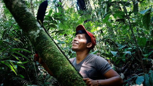 Nymburský deník | Amazonský deštný prales. Ilustrační galerie | fotogalerie