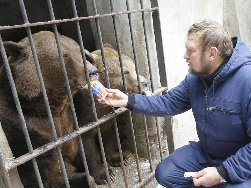 Pravidelné Medvědí vánoce pořádá českokrumlovský zámek.