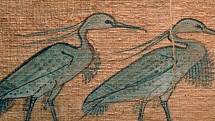 Volavka byla coby pták "Fénix" spojována se stvořením světa, se znovuzjevením Slunce po noční přestávce a se zmrtvýchvstáním