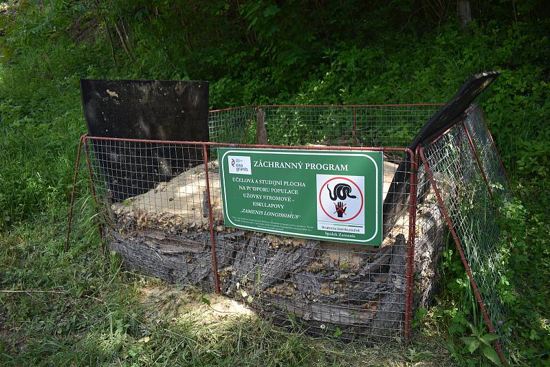 Líhniště hadů, neboli hadník. Po Osvinově jich institut založil na tři desítky.