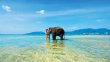 Koupající se slony na Elephant Beach už dnes nepotkáte.