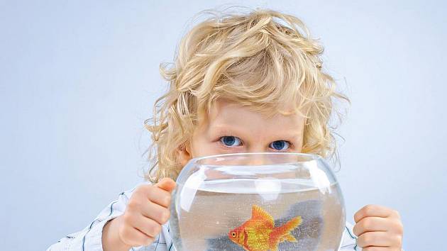 Děti ve školách na Bystřicku dostaly akvária na živou vodu