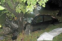 Trosky vozu, v němž u Supíkovic na Jesenicku zahynuli čtyři mladí lidé. 
