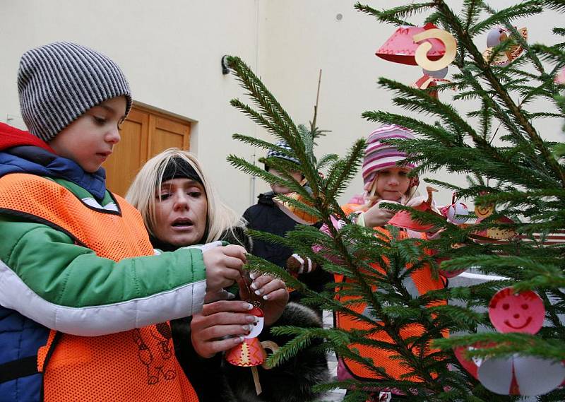 Děti ze všech lounských mateřských školek v pátek 26. listopadu přišly ozdobit vánoční stromky do atria Městské knihovny.