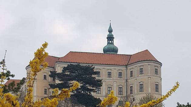 Mikulov, centrum Chráněné krajinné oblasti Pálava