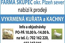 Farma Skupeč, okres Plzeň-sever nabízí k prodeji VYKRMENÁ KUCHAŘA A KACHNY.