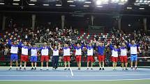 Čeští tenisté v Davis Cupu