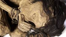 Mumie pochází pravděpodobně ze severního pobřeží Peru, kde tímto způsobem pohřbívali své mrtvé lidé předkolumbovské kultury Chimú. Detail hlavy a rukou