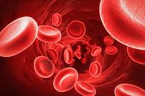 Červené krvinky, ilustrační foto