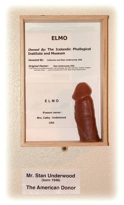 Přes 280 uřezaných penisů či jejich částí, které původně náležely 93 živočišným druhům, najdete v Islandském falologickém muzeu.