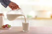 Mlékem dodáme tělu vysoce kvalitní bílkoviny, vitaminy či vápník