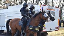 Policejní koně ale musí zůstat klidní, nepanikařit, neplašit se a za všech okolností poslechnout své jezdce.