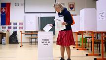 Předčasné parlamentní volby na Slovensku (30. 9. 2023)