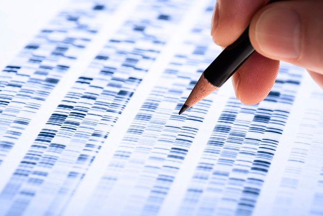 Analýza DNA. Ilustrační snímek