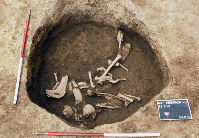 V chorvatském pohřebišti starém přes 1500 let byly objeveny lebky nedospělých chlapců. Obě nesly stopy výrazné úmyslné deformace