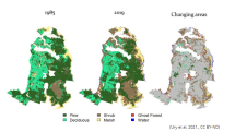 Mapa zobrazující změnu lesů
