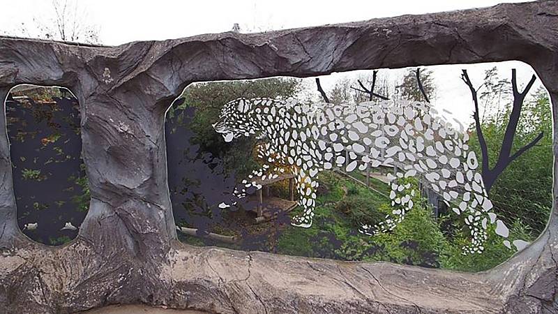 Zabezpečené stěny pavilonu levhartů mandžuských v olomoucké zoo
