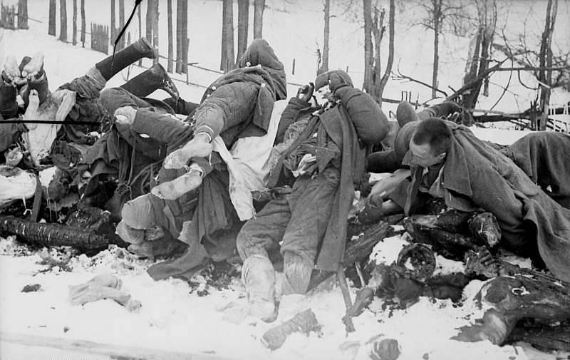 Snímek německého fotografa Richarda Mucka zachycující těla sovětských vojáků padlých u Cholmu