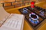 Řada českých domácností přitom využívá plyn nejen na vytápění, ale také na vaření. 