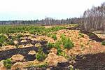 Perninské rašeliniště je přírodní památkou Jeho stáří se odhaduje na 12 tisíc let.