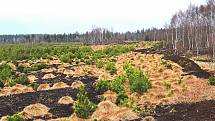 Perninské rašeliniště je přírodní památkou Jeho stáří se odhaduje na 12 tisíc let.