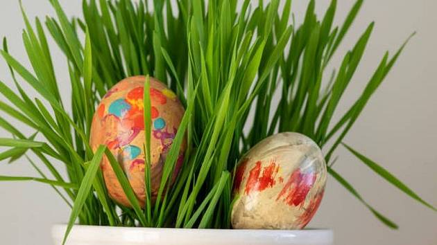 Velikonoční osení je hezkou jarní dekorací, po Velikonocích je ale lze skvěle zužitkovat