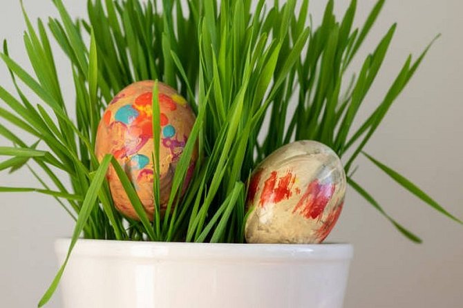 Velikonoční osení je hezkou jarní dekorací, po Velikonocích je ale lze skvěle zužitkovat