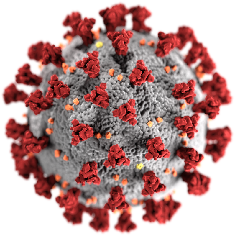 Typický tvar pro koronaviry
