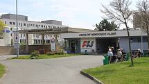 V loňském roce se ve Fakultní nemocnici Plzeň narodilo 3338 dětí