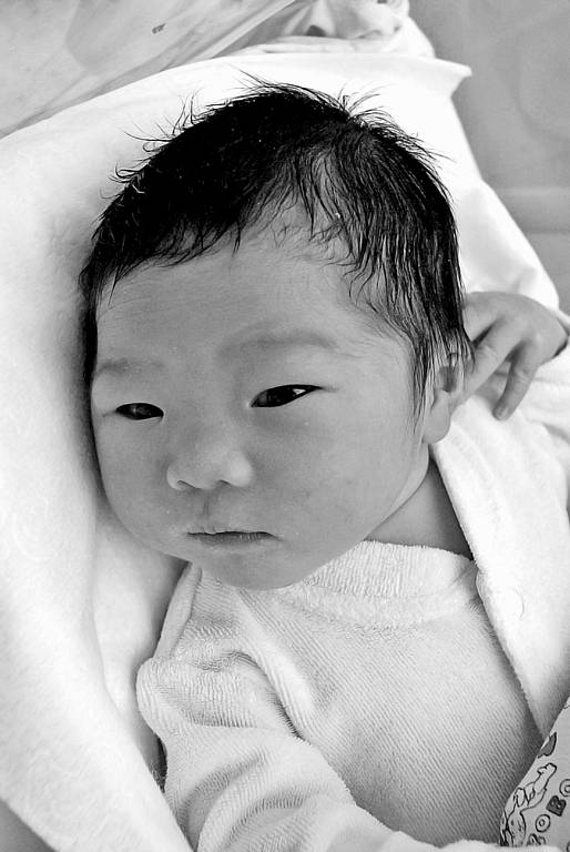 Hiroto Sakurai, 25. 4. 2008,  50 cm, 3480 g, Fakultní Thomayerova nemocnice