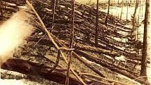 Při takzvané Tunguské události výbuch meteoru polámal zhruba 80 milionů stromů na Sibiři.