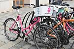 Růžová kola v Olomouci